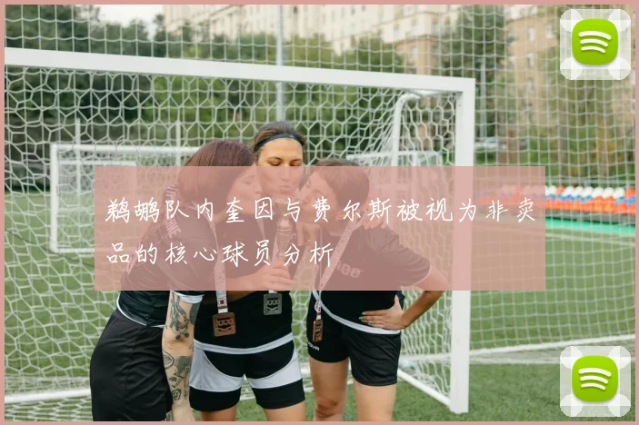 鹈鹕队内奎因与费尔斯被视为非卖品的核心球员分析