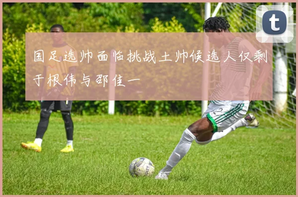 国足选帅面临挑战土帅候选人仅剩于根伟与邵佳一